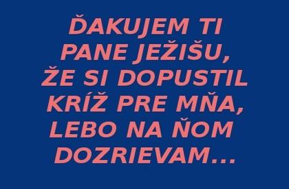 Myšlienka na zamyslenie